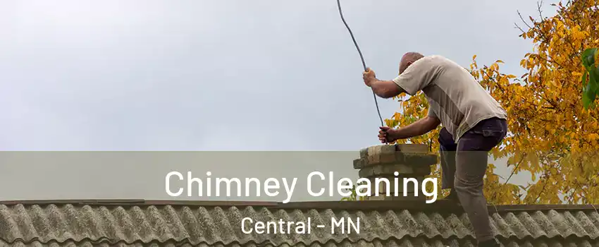 Chimney Cleaning Central - MN