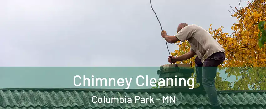 Chimney Cleaning Columbia Park - MN