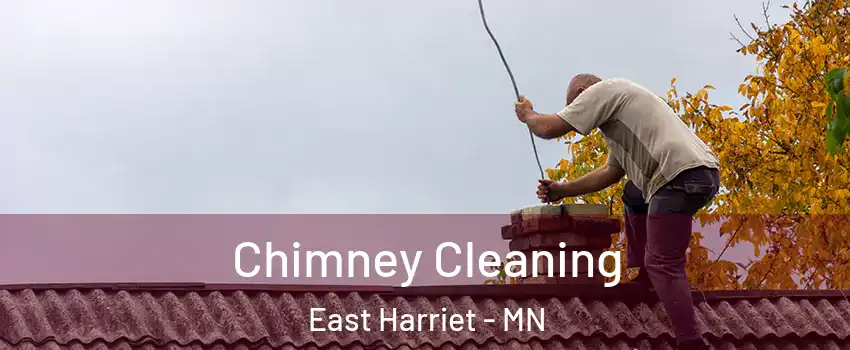 Chimney Cleaning East Harriet - MN