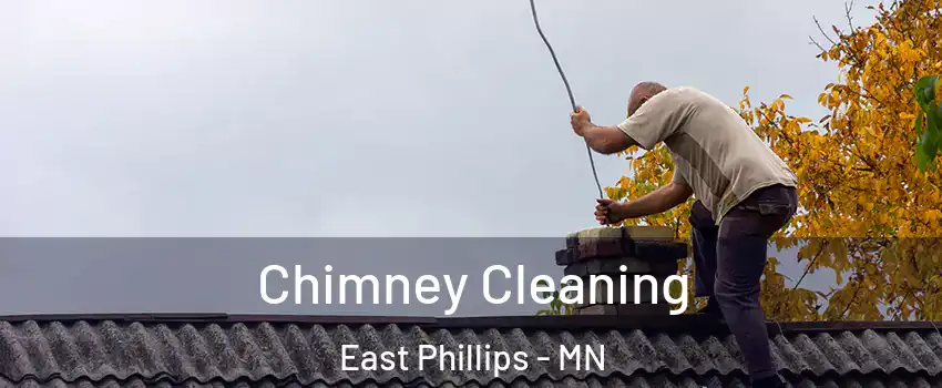 Chimney Cleaning East Phillips - MN