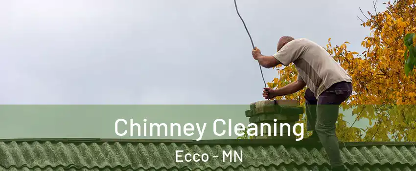 Chimney Cleaning Ecco - MN