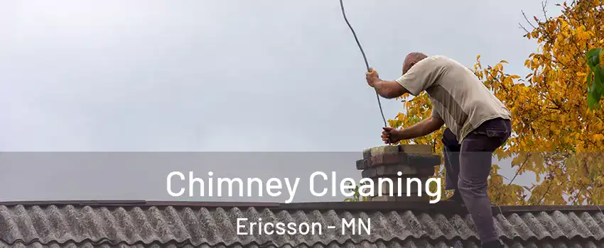 Chimney Cleaning Ericsson - MN
