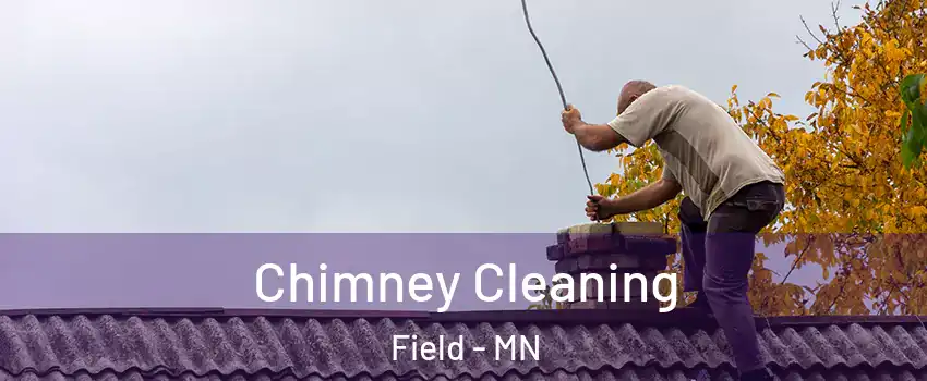 Chimney Cleaning Field - MN