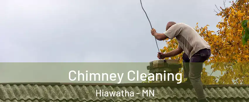 Chimney Cleaning Hiawatha - MN