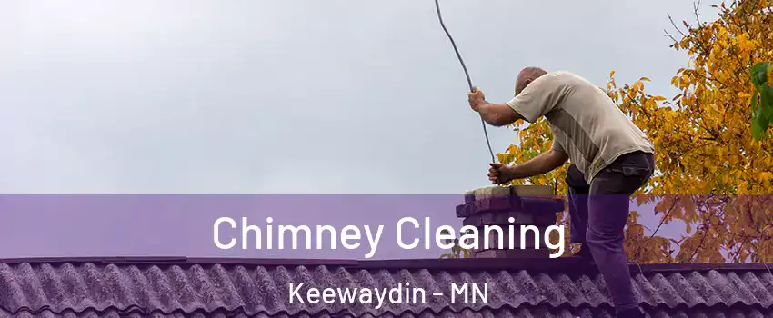 Chimney Cleaning Keewaydin - MN