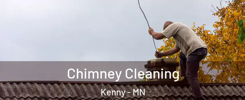 Chimney Cleaning Kenny - MN
