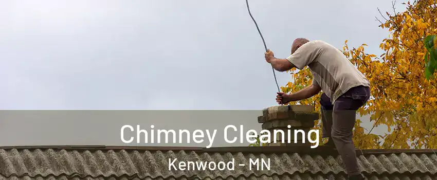 Chimney Cleaning Kenwood - MN