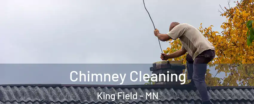 Chimney Cleaning King Field - MN