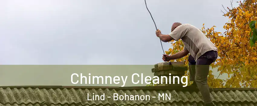 Chimney Cleaning Lind - Bohanon - MN