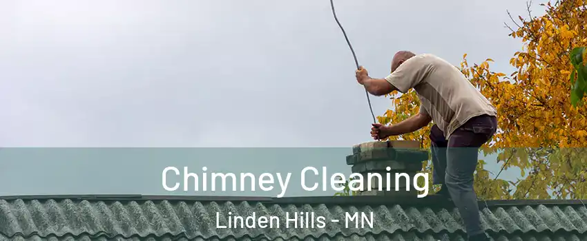Chimney Cleaning Linden Hills - MN
