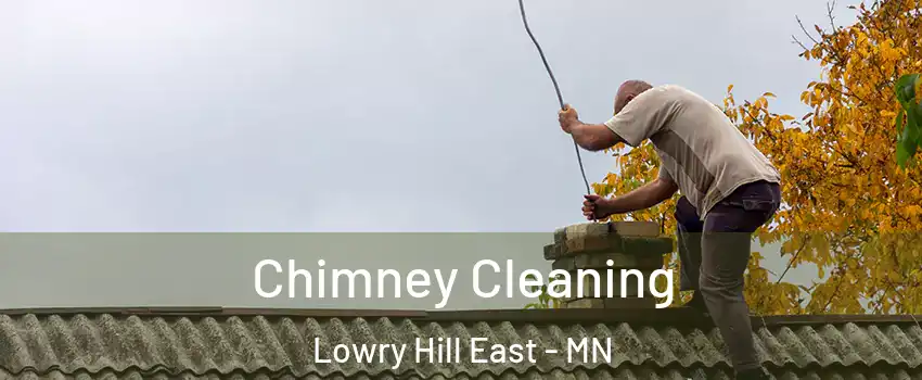 Chimney Cleaning Lowry Hill East - MN