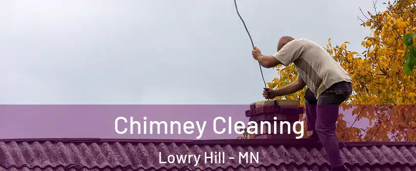 Chimney Cleaning Lowry Hill - MN