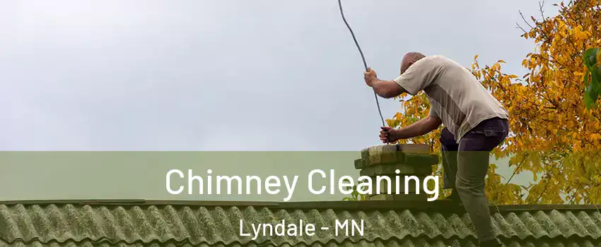 Chimney Cleaning Lyndale - MN
