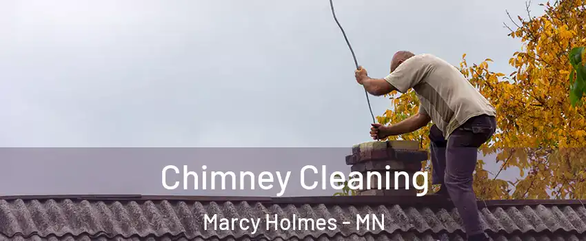 Chimney Cleaning Marcy Holmes - MN