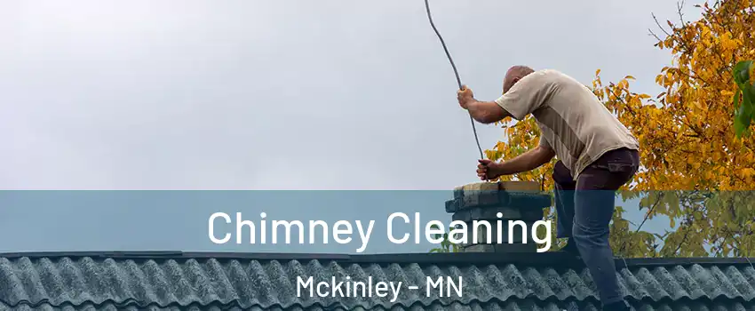 Chimney Cleaning Mckinley - MN