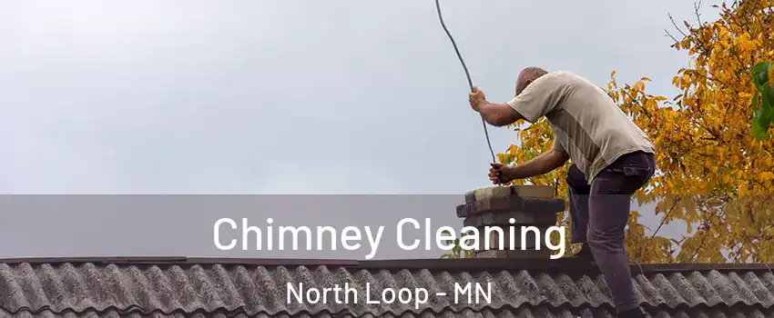 Chimney Cleaning North Loop - MN