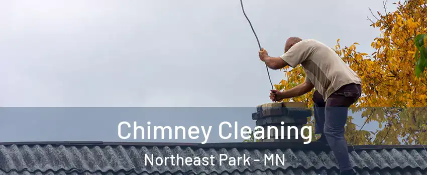 Chimney Cleaning Northeast Park - MN