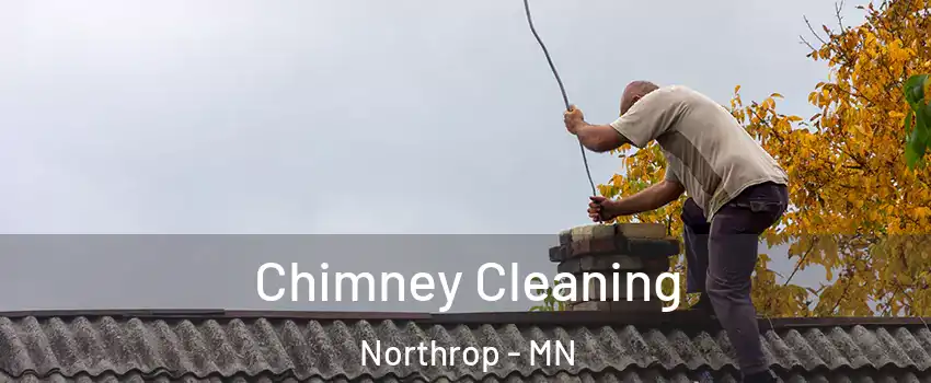 Chimney Cleaning Northrop - MN