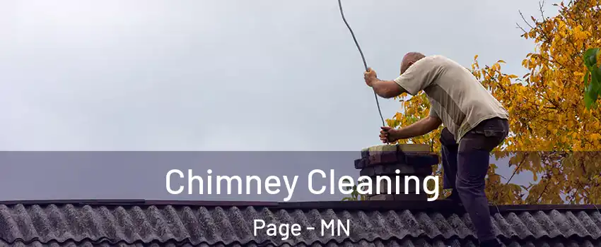 Chimney Cleaning Page - MN