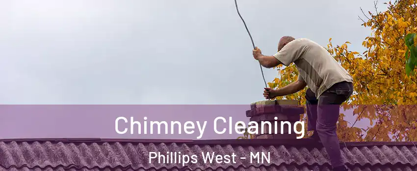 Chimney Cleaning Phillips West - MN