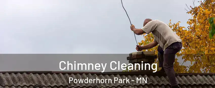 Chimney Cleaning Powderhorn Park - MN