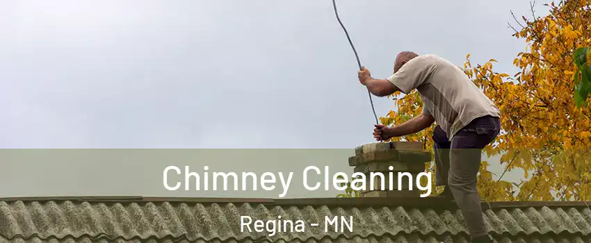 Chimney Cleaning Regina - MN