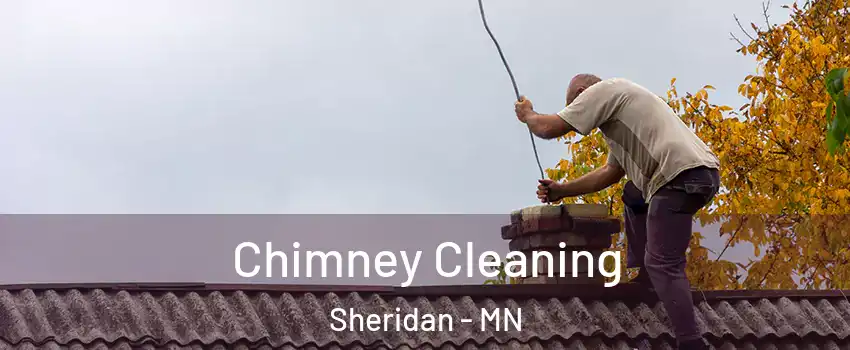 Chimney Cleaning Sheridan - MN
