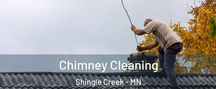 Chimney Cleaning Shingle Creek - MN