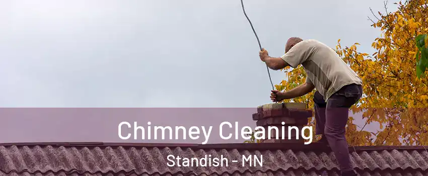 Chimney Cleaning Standish - MN