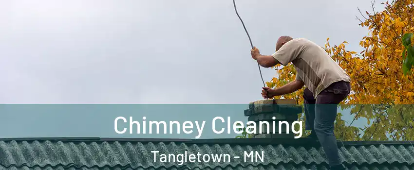 Chimney Cleaning Tangletown - MN
