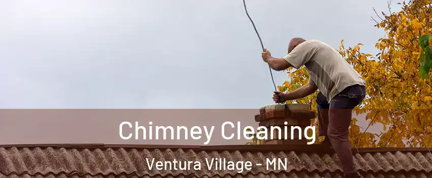 Chimney Cleaning Ventura Village - MN