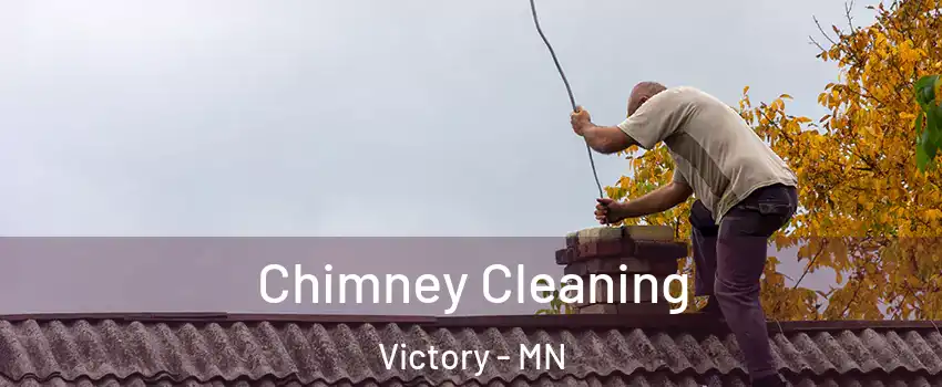 Chimney Cleaning Victory - MN
