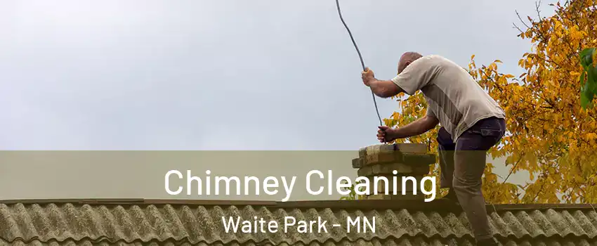 Chimney Cleaning Waite Park - MN