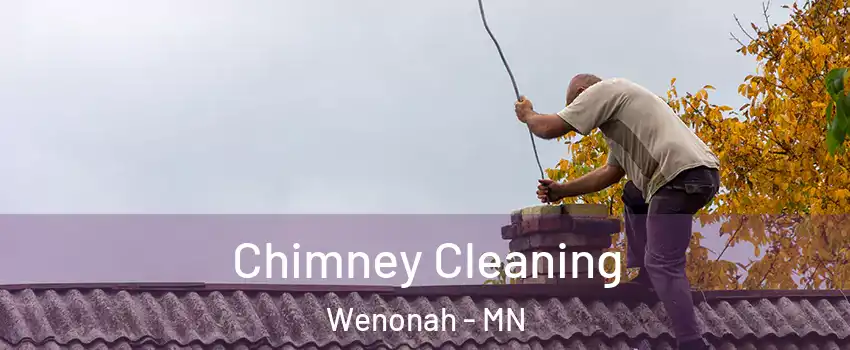 Chimney Cleaning Wenonah - MN