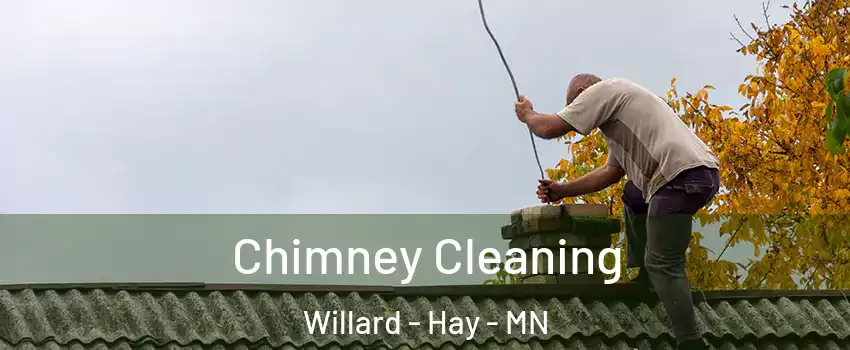Chimney Cleaning Willard - Hay - MN