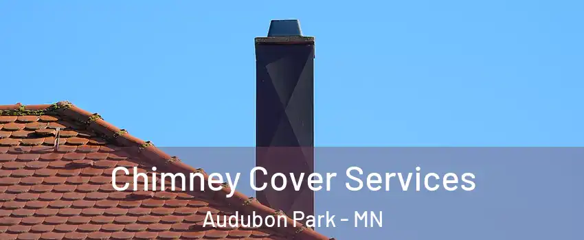 Chimney Cover Services Audubon Park - MN