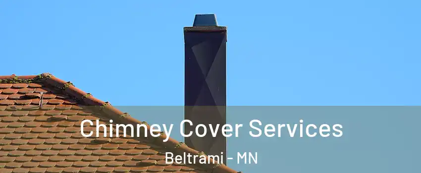 Chimney Cover Services Beltrami - MN