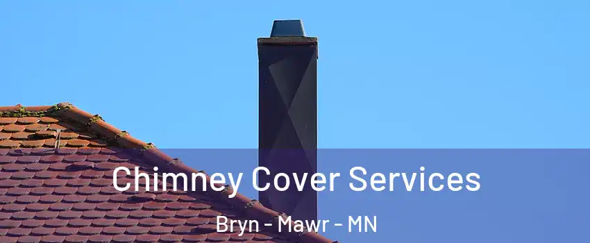 Chimney Cover Services Bryn - Mawr - MN