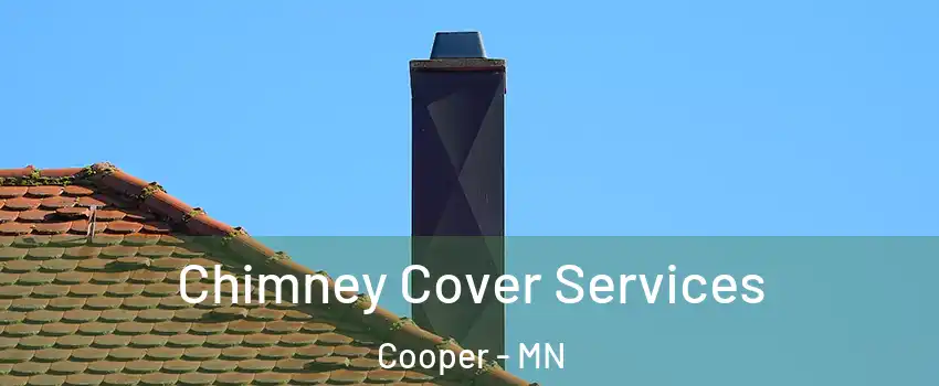 Chimney Cover Services Cooper - MN