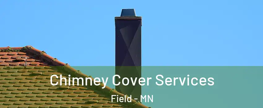 Chimney Cover Services Field - MN