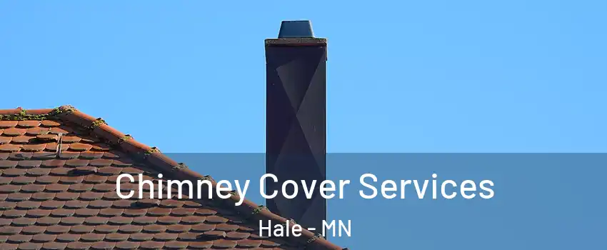 Chimney Cover Services Hale - MN