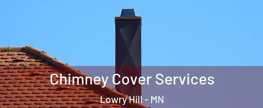 Chimney Cover Services Lowry Hill - MN