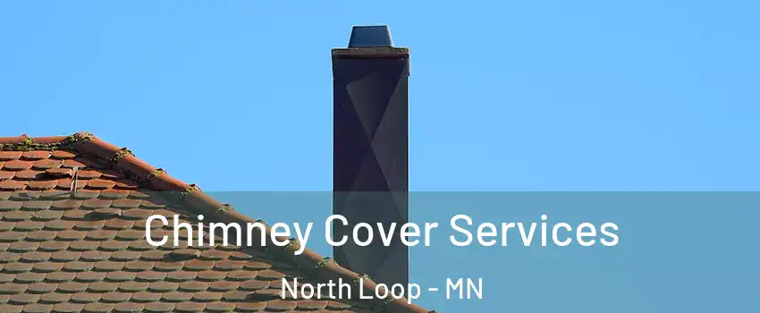 Chimney Cover Services North Loop - MN