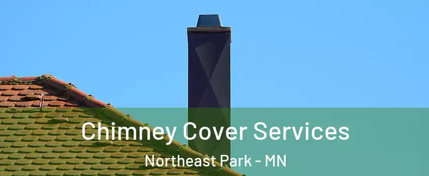 Chimney Cover Services Northeast Park - MN