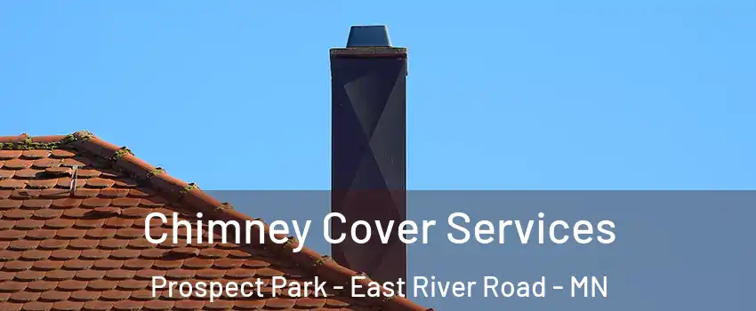 Chimney Cover Services Prospect Park - East River Road - MN