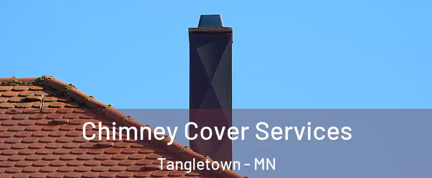 Chimney Cover Services Tangletown - MN