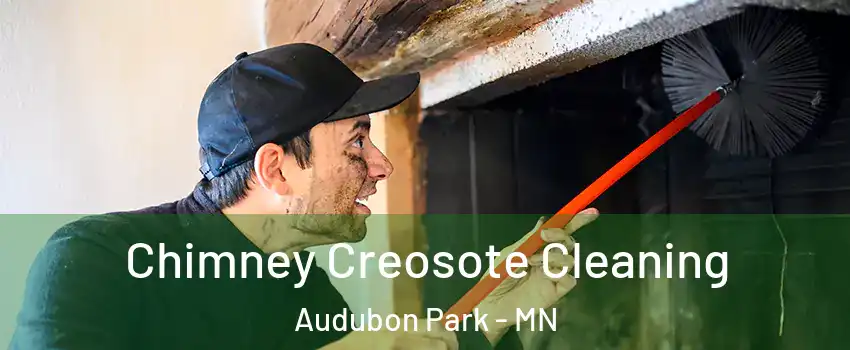 Chimney Creosote Cleaning Audubon Park - MN