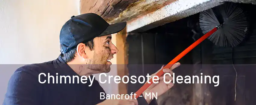 Chimney Creosote Cleaning Bancroft - MN