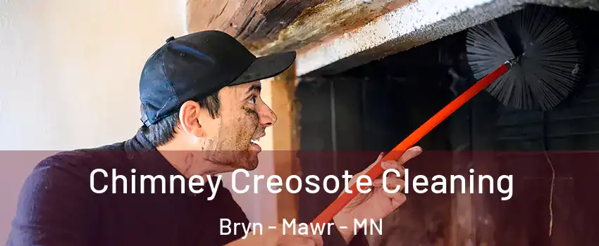 Chimney Creosote Cleaning Bryn - Mawr - MN