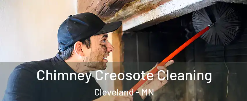 Chimney Creosote Cleaning Cleveland - MN